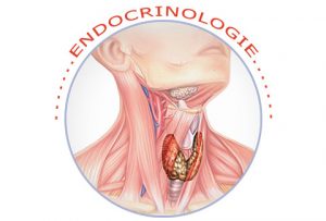 Endocrinologie-300x203