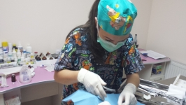 Serviciu medical veterinar
