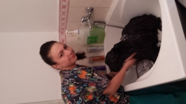 Spalare sampon profesional